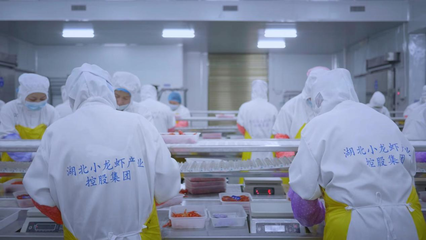 全国首个小龙虾加工基地揭牌 全链赋能‘虾’经济，助力乡村振兴与技术推广