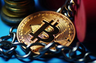 区块链技术赋能乡村振兴 中国区块链扶贫技术推广中心正式成立